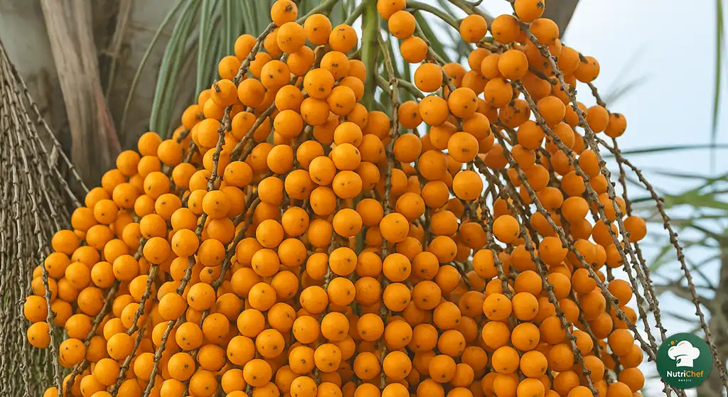frutas com a Letra B: Com sabor cítrico e aroma marcante, o butiá é uma fruta nativa do sul do Brasil